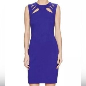 Diane Von Furstenberg Purple Cutout Dress